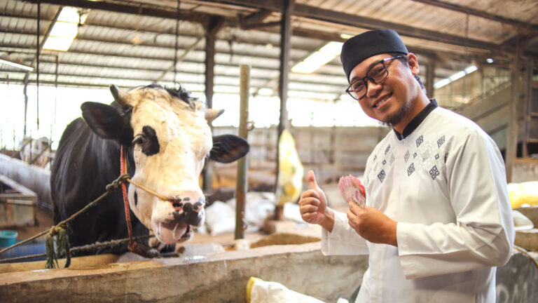 Jangan Sampai Salah! Ini Hukum Kurban bagi yang Mampu
